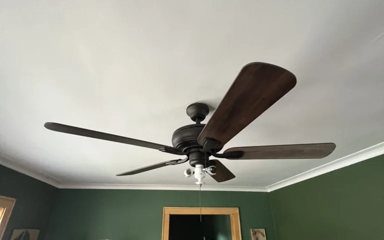 Installed dark wood ceiling fan with light kit in green room