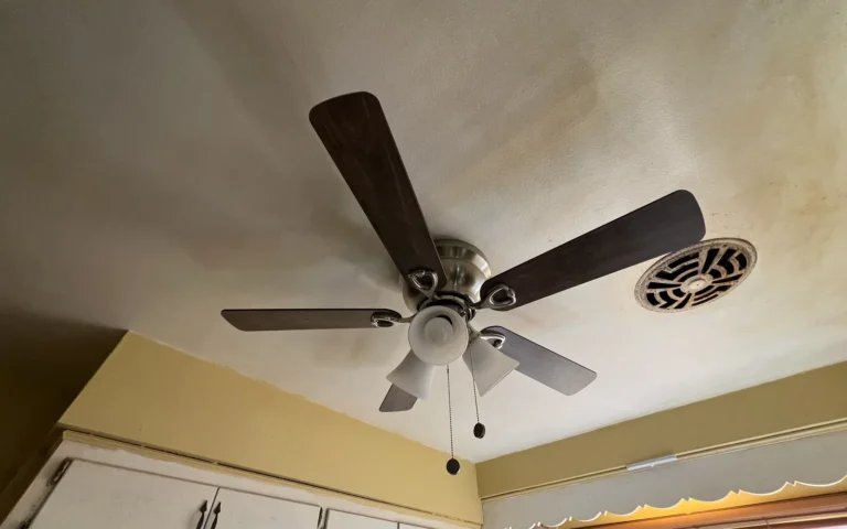 Installed ceiling fan with dark wood blades and light fixture in kitchen